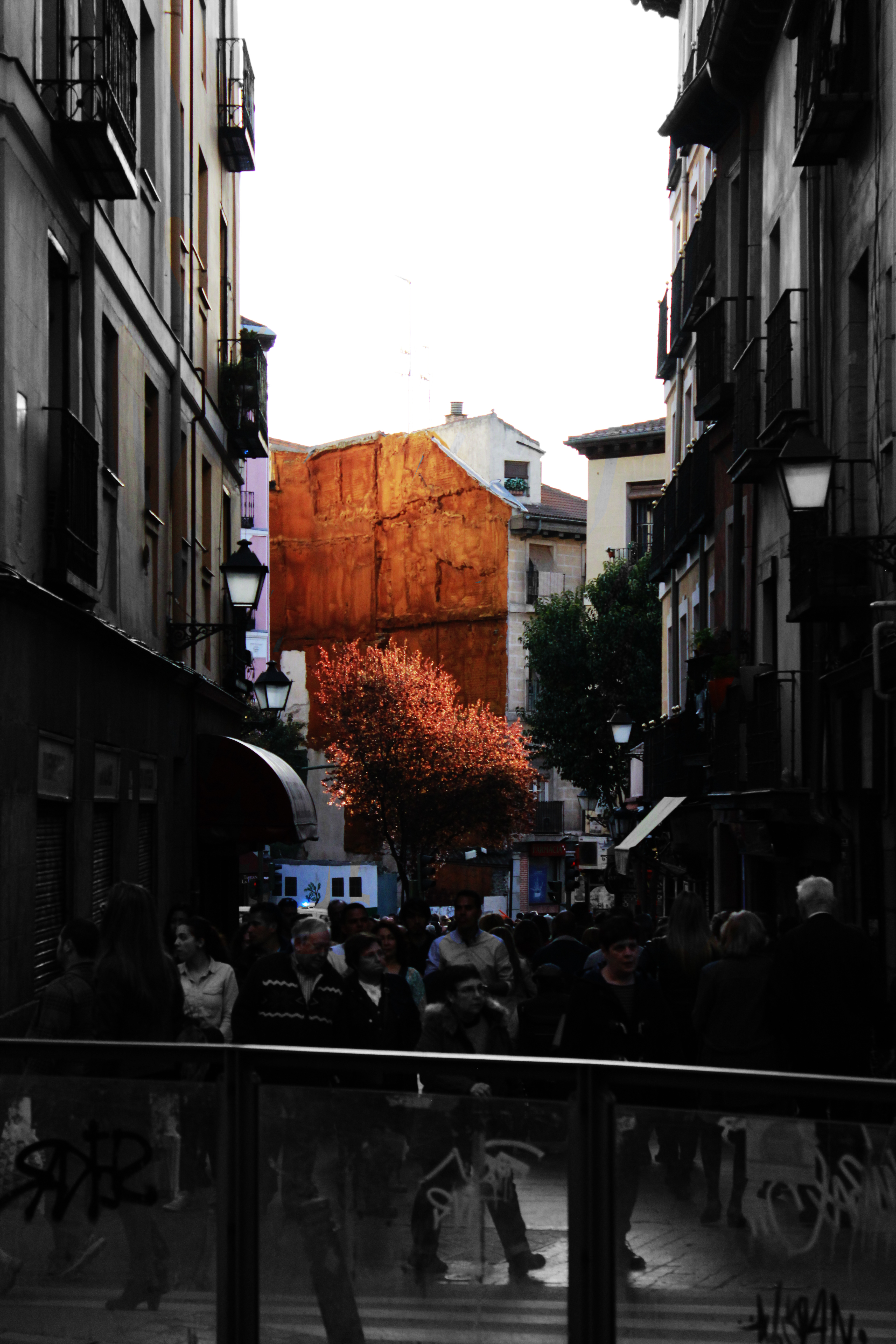 arbol madrid semana santa