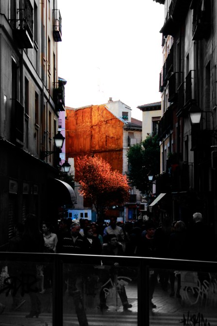 arbol madrid semana santa